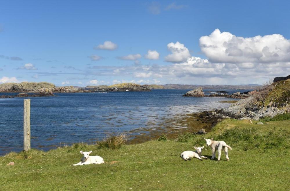 Culkein Lodge Drumbeg Экстерьер фото